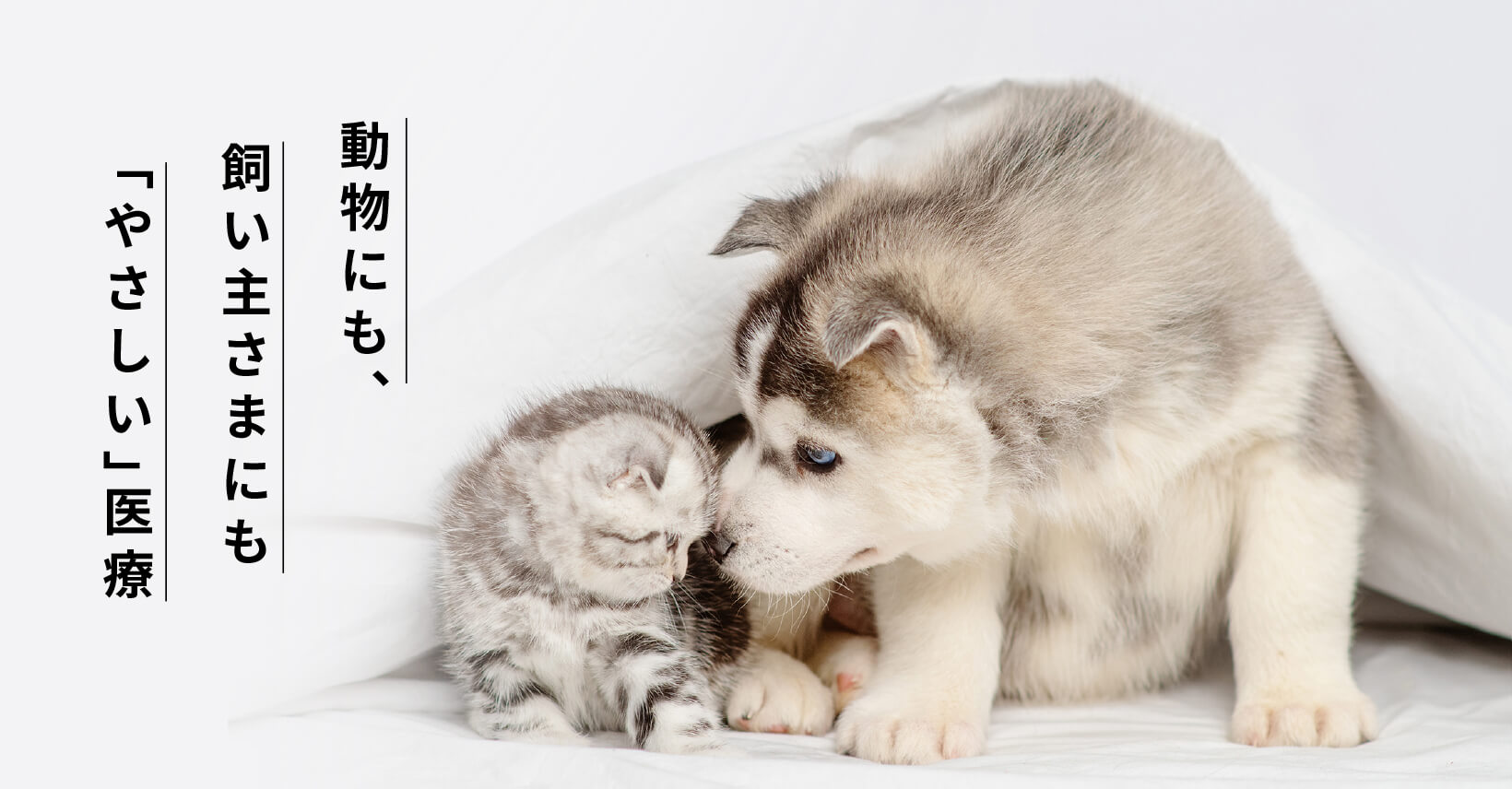 板橋ウィズマル動物病院の外観